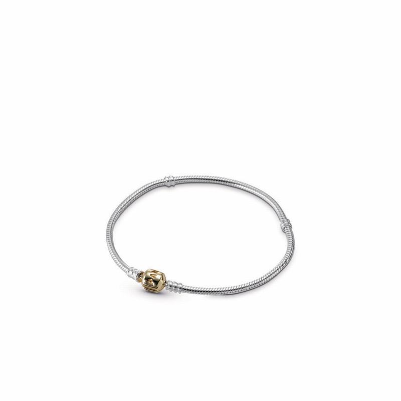 Pandora Silver Charm Bracelet With 14k Gold Clasp - Two Tone - Canada | FO7161OK